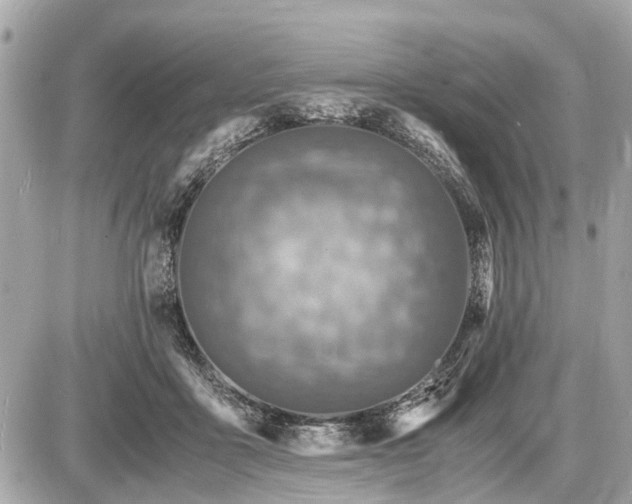 X0000087520411200705041217