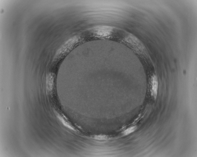 X0000087520412200705041217