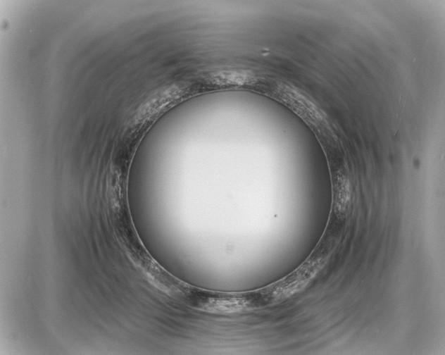 X0000087520414200705041217