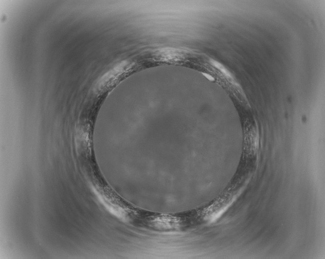 X0000087520415200705041217