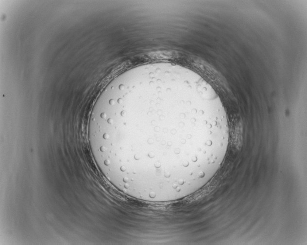 X0000087520418200705041217