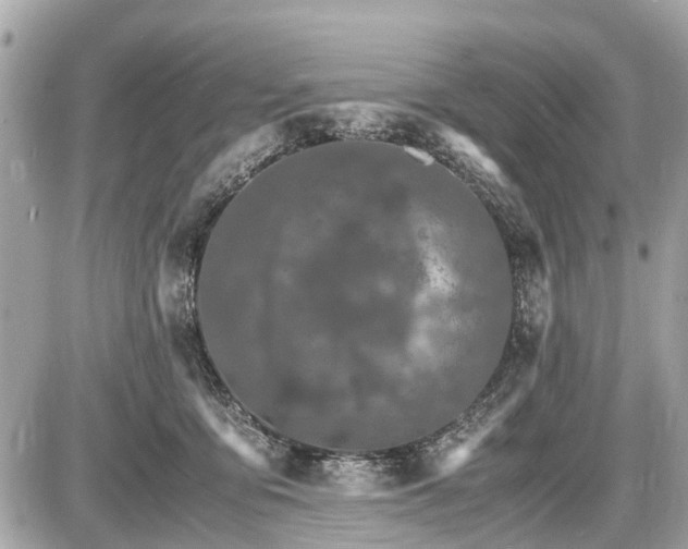 X0000087520419200705041217