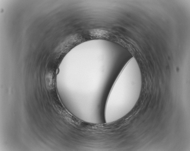 X0000087520420200705041217