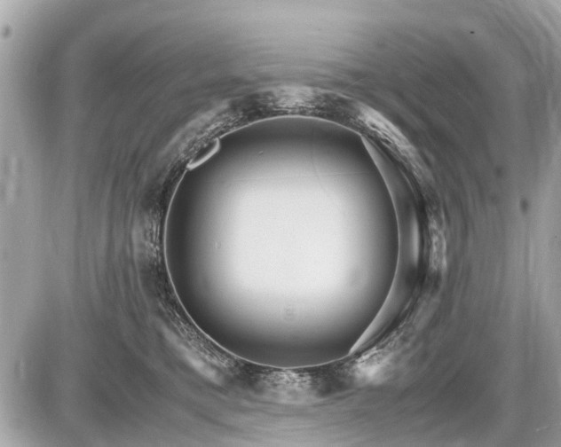 X0000087520421200705041217