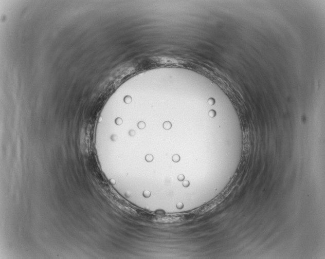 X0000087520422200705041217