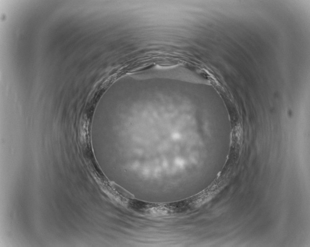 X0000087520423200705041217