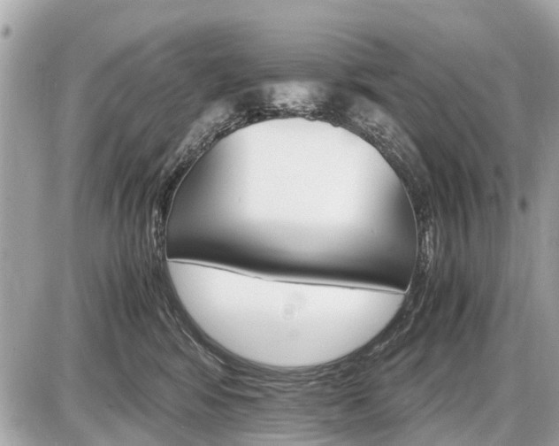 X0000087520424200705041217