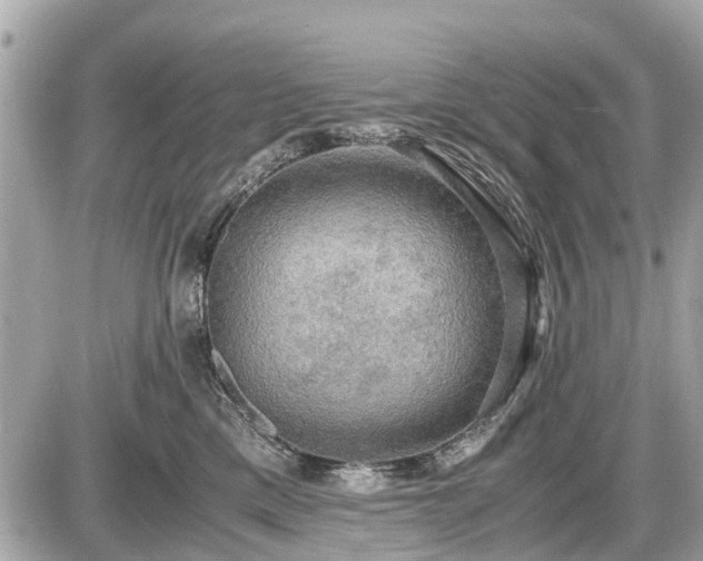 X0000087520425200705041217