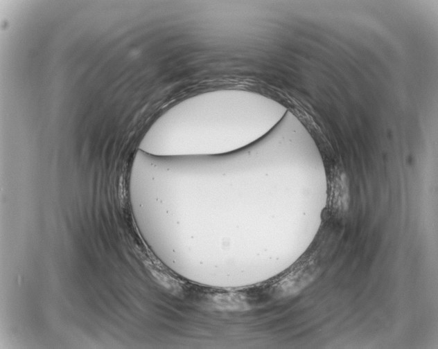 X0000087520426200705041217