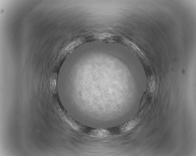 X0000087520427200705041217