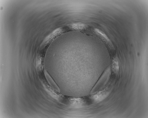 X0000087520428200705041217