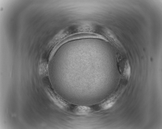 X0000087520429200705041217