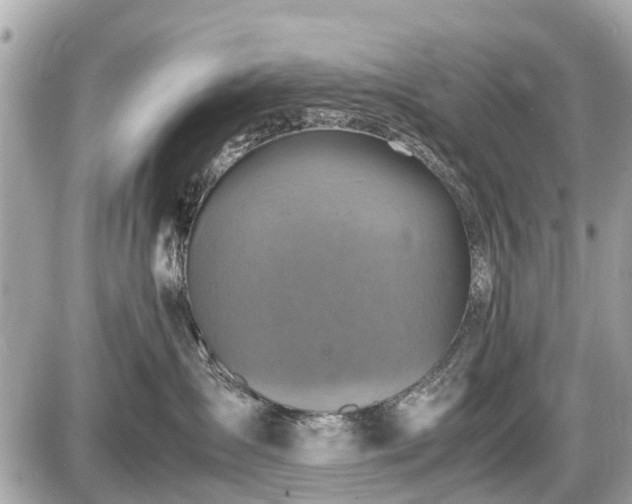 X0000087520431200705041217