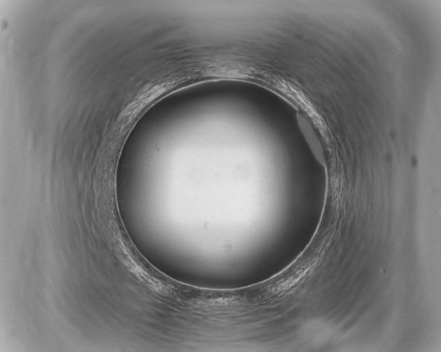 X0000087520433200705041216