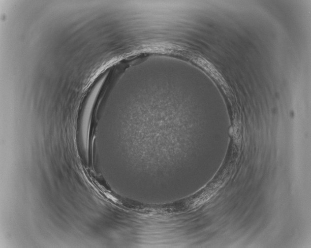 X0000087520434200705041216