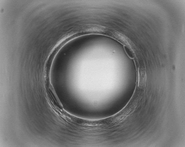 X0000087520435200705041216