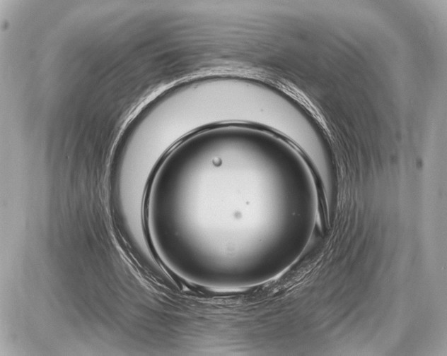 X0000087520436200705041216