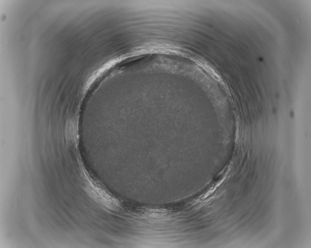 X0000087520438200705041216