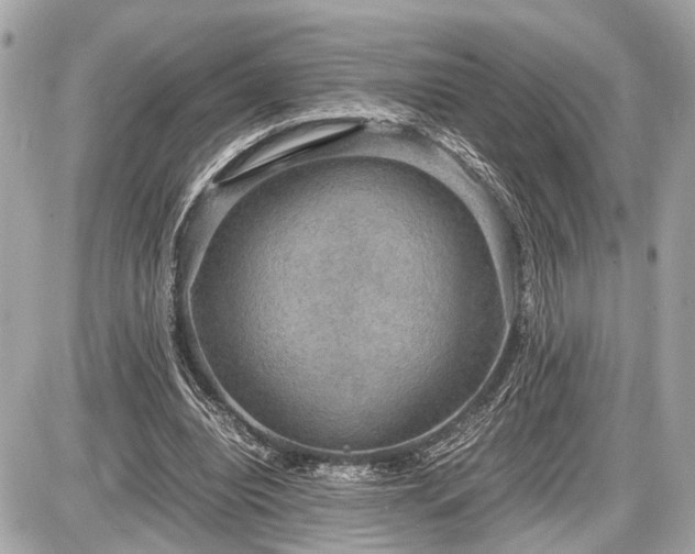 X0000087520440200705041216