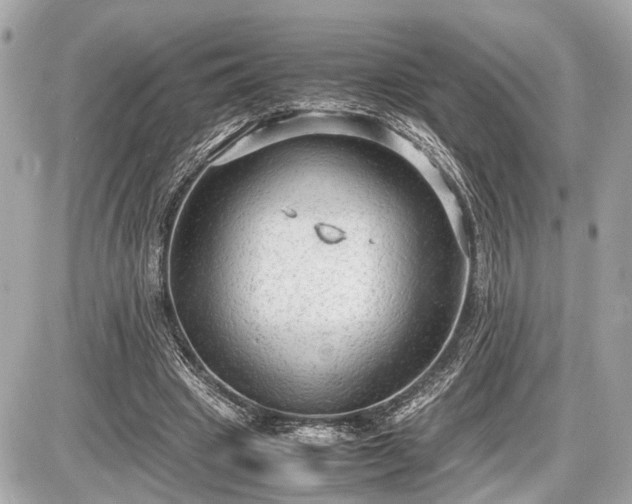 X0000087520441200705041216