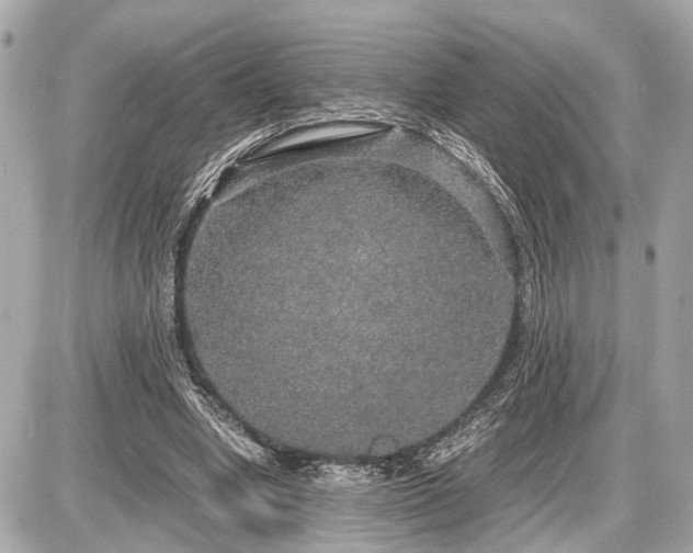 X0000087520442200705041216