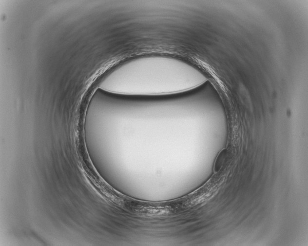 X0000087520443200705041216