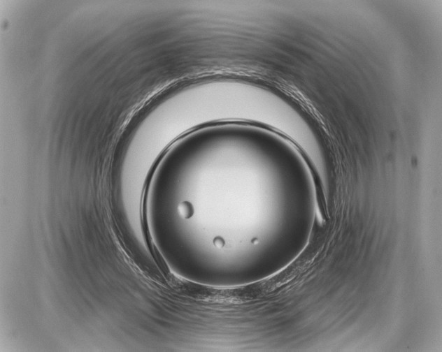 X0000087520444200705041216