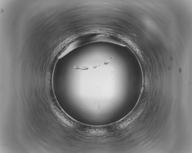 X0000087520445200705041216