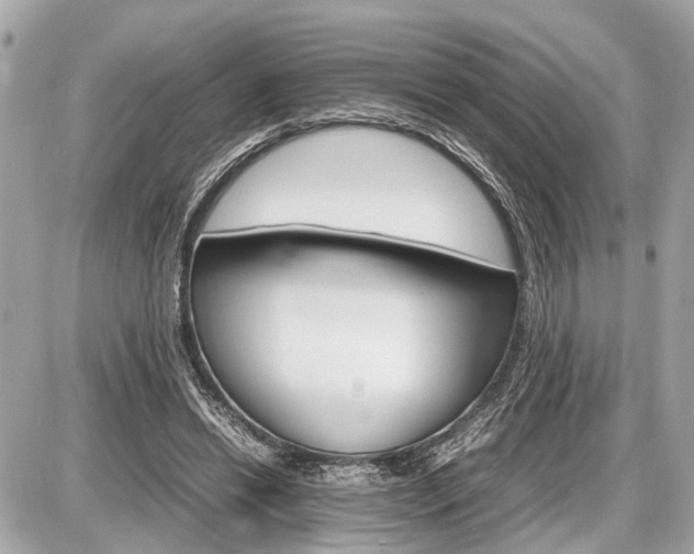 X0000087520446200705041216