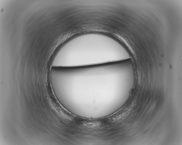 X0000087520447200705041217