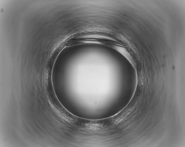 X0000087520448200705041217