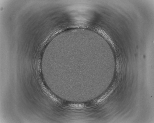 X0000087520449200705041217