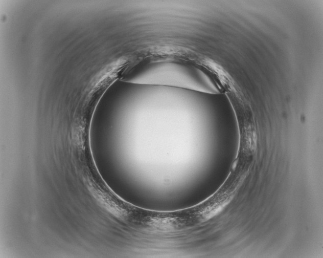 X0000087520450200705041217