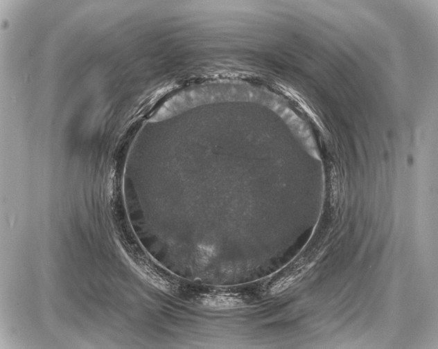 X0000087520451200705041217