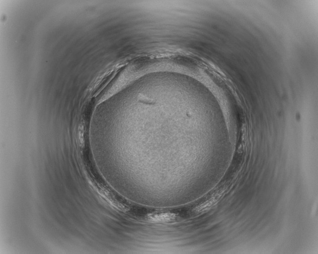 X0000087520452200705041217