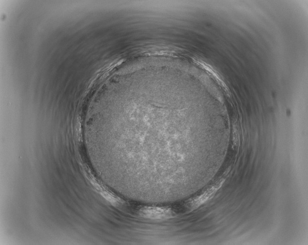 X0000087520453200705041217