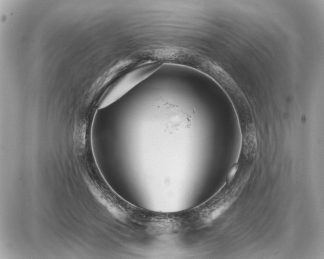 X0000087520454200705041217