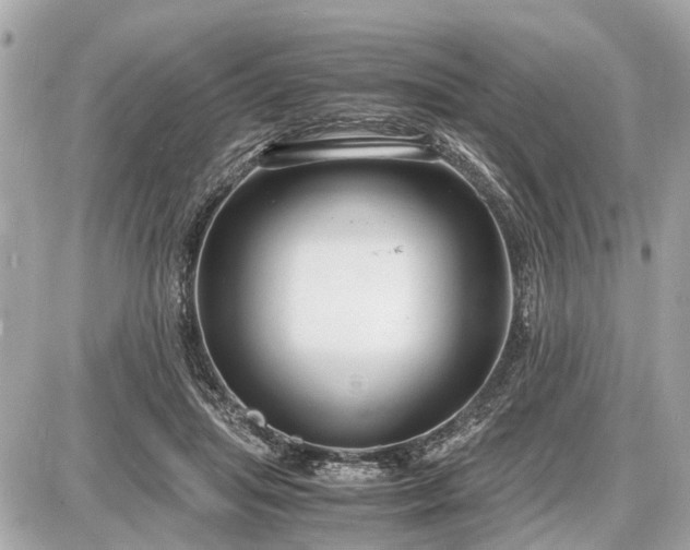 X0000087520455200705041217