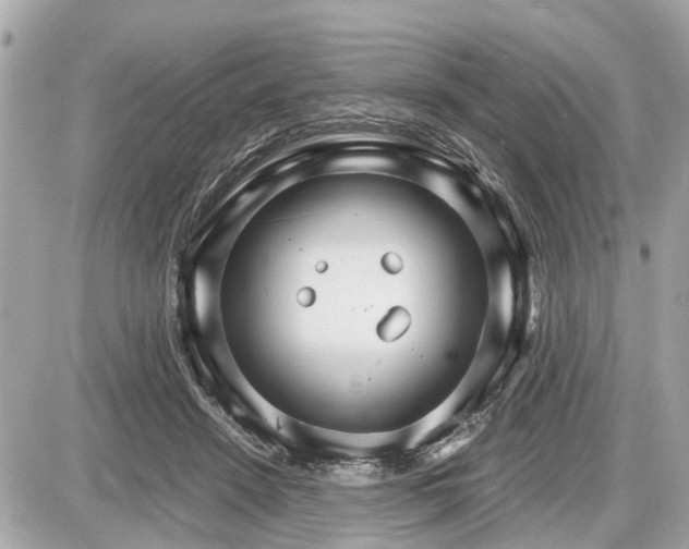 X0000087520456200705041217