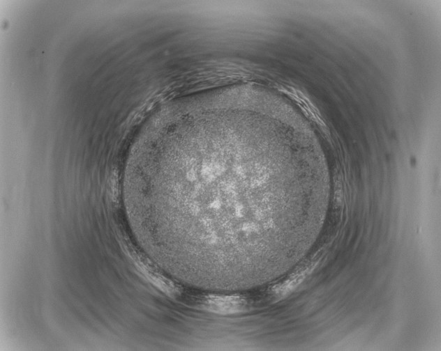 X0000087520457200705041217