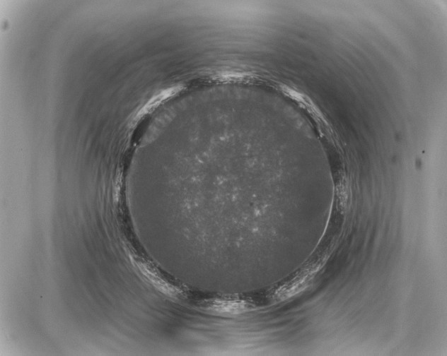 X0000087520458200705041217