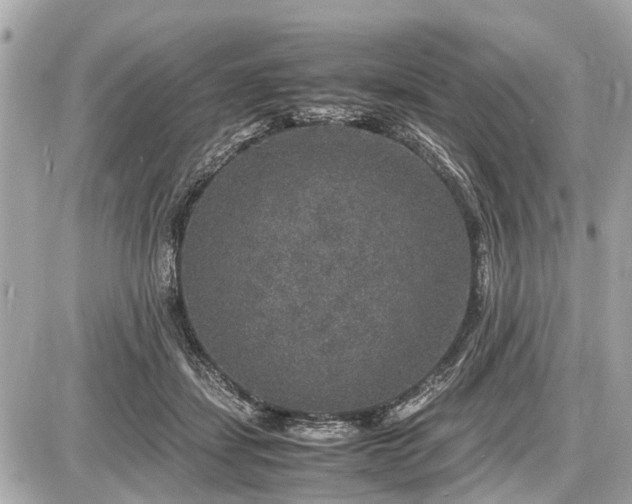 X0000087520459200705041217