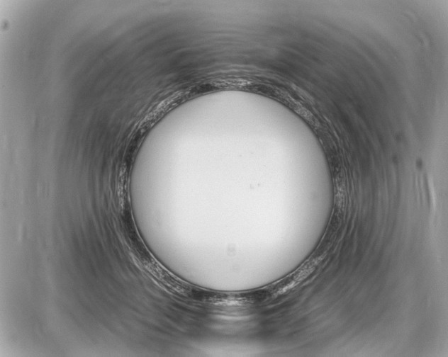 X0000087520460200705041217