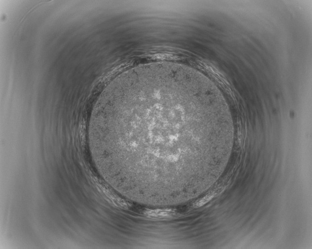 X0000087520461200705041217