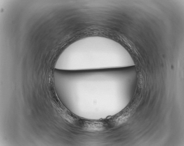 X0000087520463200705041217