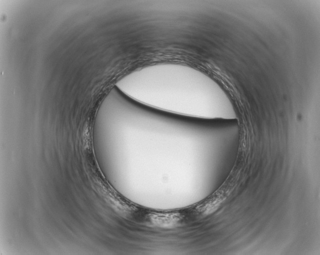 X0000087520465200705041217