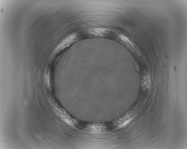 X0000087520466200705041217