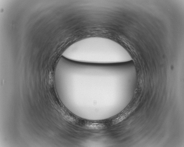 X0000087520467200705041217