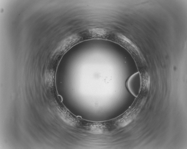 X0000087520468200705041217