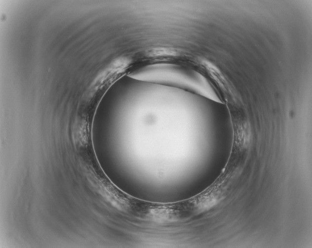 X0000087520470200705041217